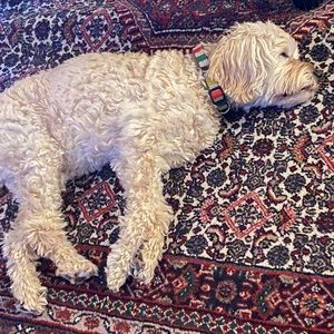 Meet your Posher, Nichole